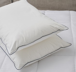 Μαξιλάρι ύπνου ''Albatros'' Cotton/Micro