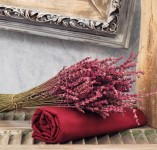 Σεντόνια Μεμονωμένα Λάστιχο “Angel” Burgundy